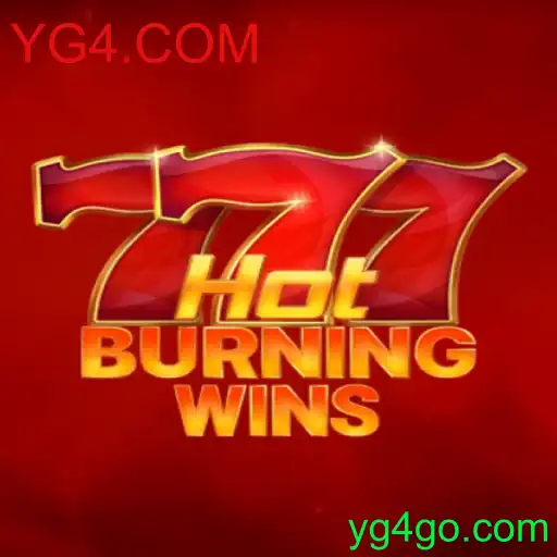 Explorando HotBurningWins: Um Mergulho nas Regras e Funcionalidades do Jogo